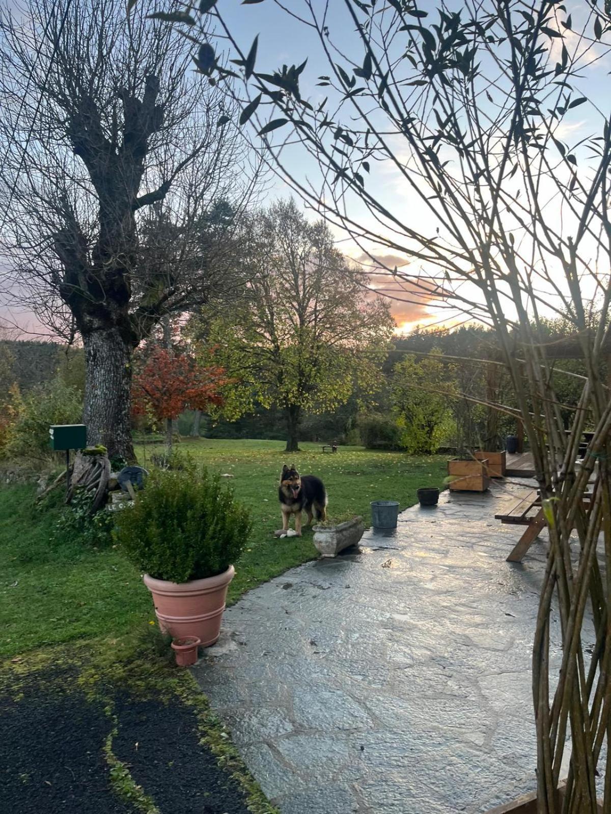 Hotel La Ferme Du Garnasson Doranges Esterno foto